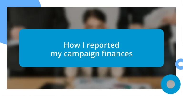 How I reported my campaign finances